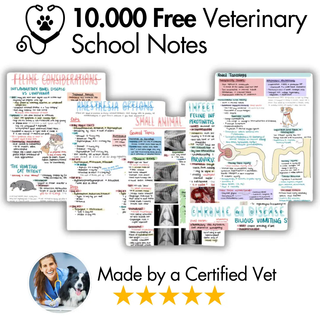 10.000+ Free Veterinary School Notes